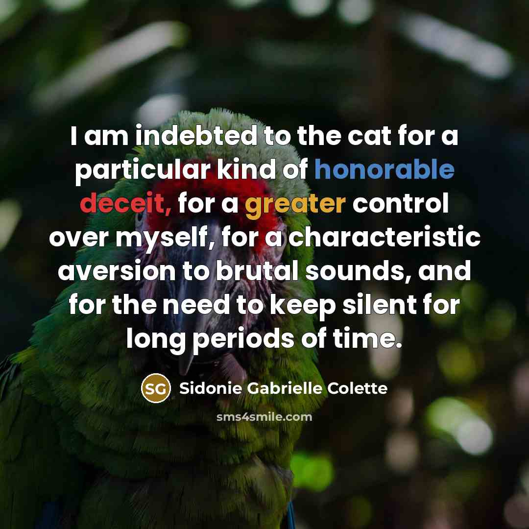 “I am indebted to the cat for a particular kind…” quote by Sidonie Gabrielle Colette