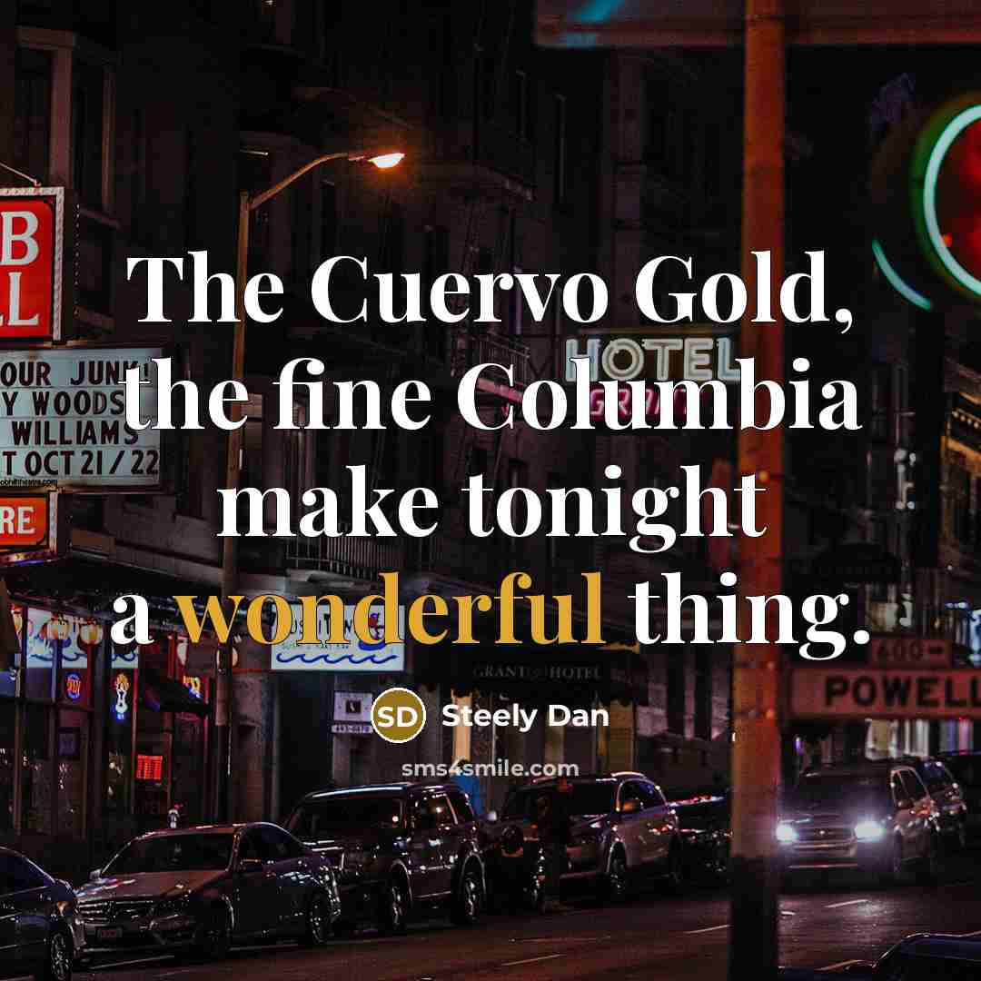 “The Cuervo Gold, the fine Columbia make tonight a wonderful thing.” quote by Steely Dan