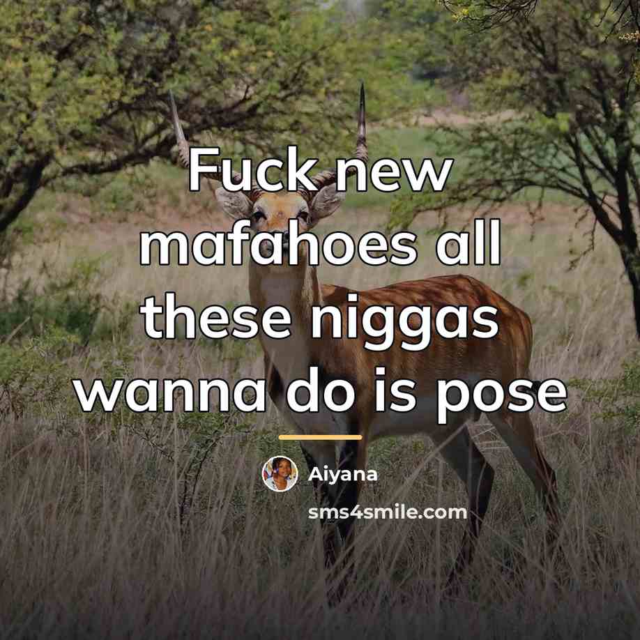 “Fuck new mafahoes all these niggas wanna do is pose…” quote by Aiyana
