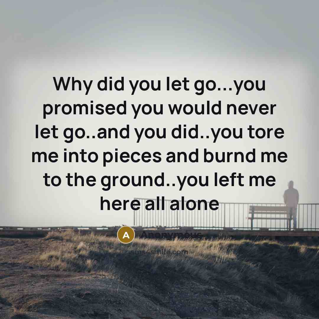 “Why did you let go...you promised you would never let…” quote by Anonymous