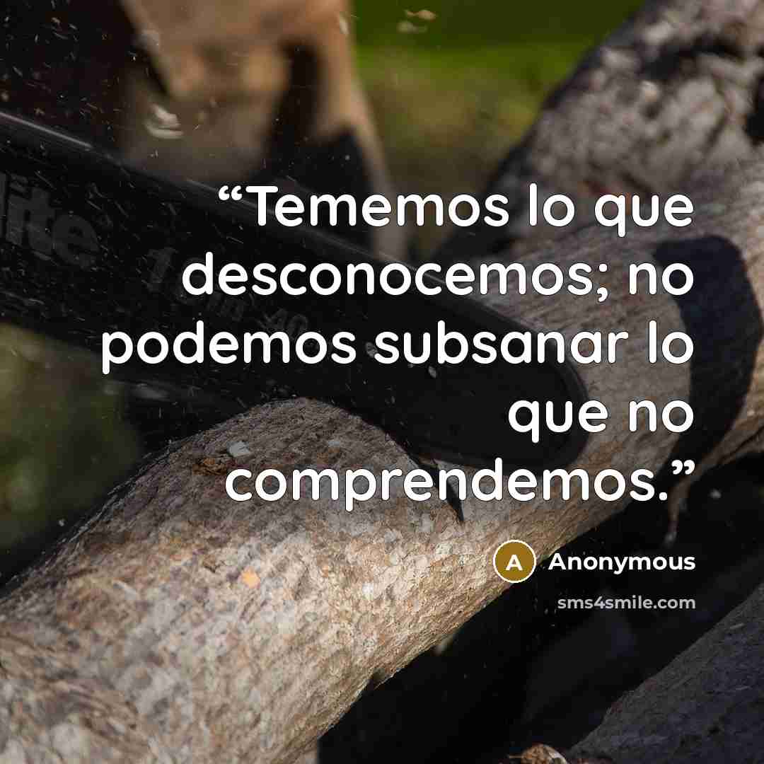 “Tememos lo que desconocemos; no podemos subsanar lo que no comprendemos.” quote by Anonymous