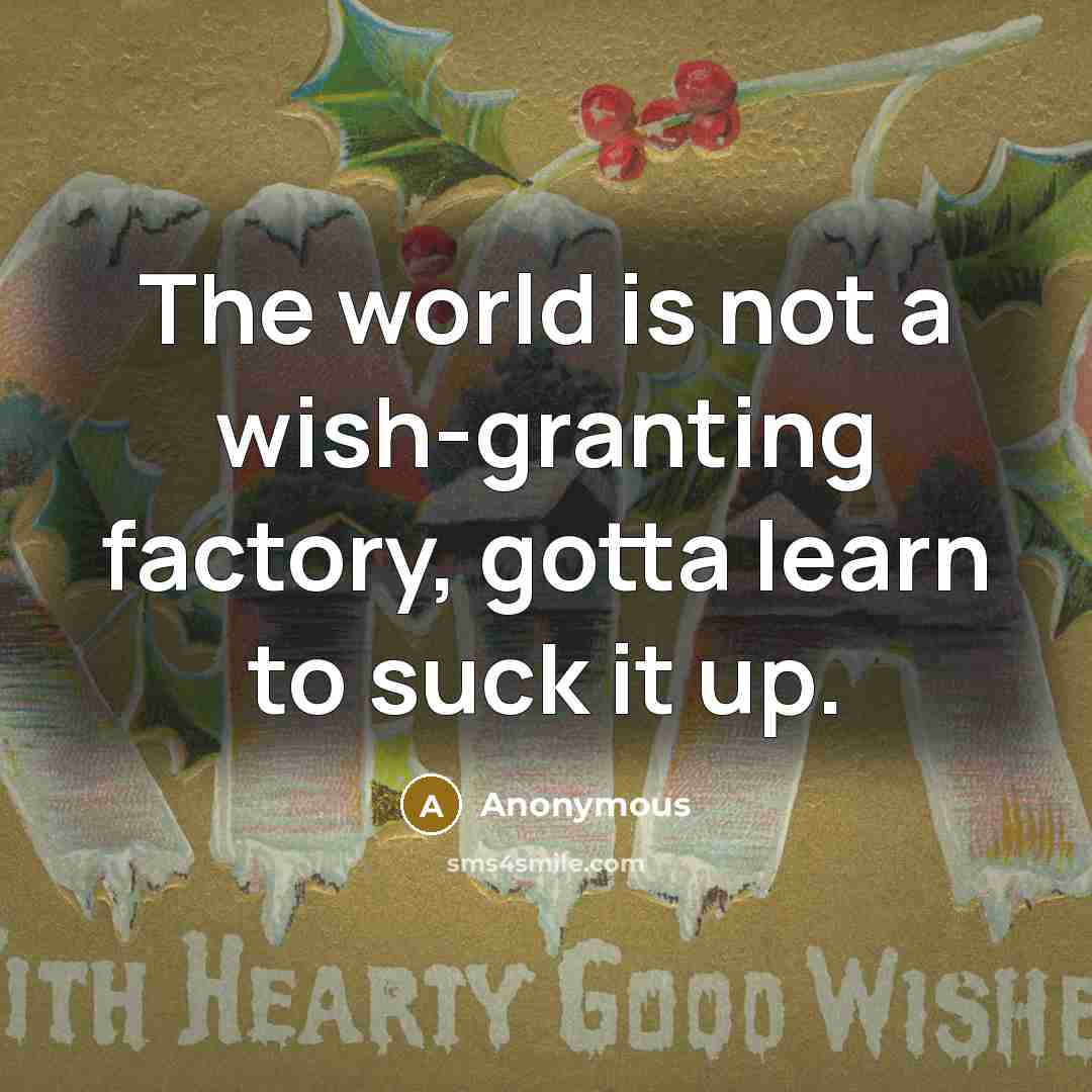 “The world is not a wish-granting factory, gotta learn to suck it up.” quote by Anonymous