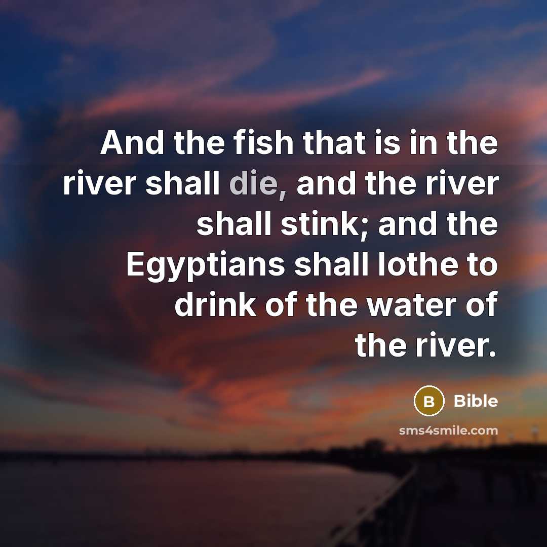 “And the fish that is in the river shall die,…” quote by Bible