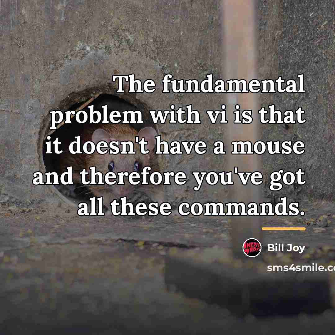 “The fundamental problem with vi is that it doesn't have…” quote by Bill Joy