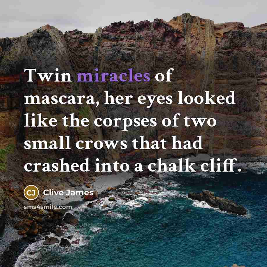 “Twin miracles of mascara, her eyes looked like the corpses…” quote by Clive James