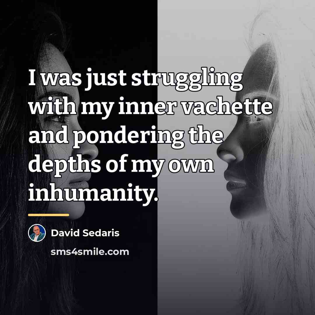 “I was just struggling with my inner vachette and pondering…” quote by David Sedaris
