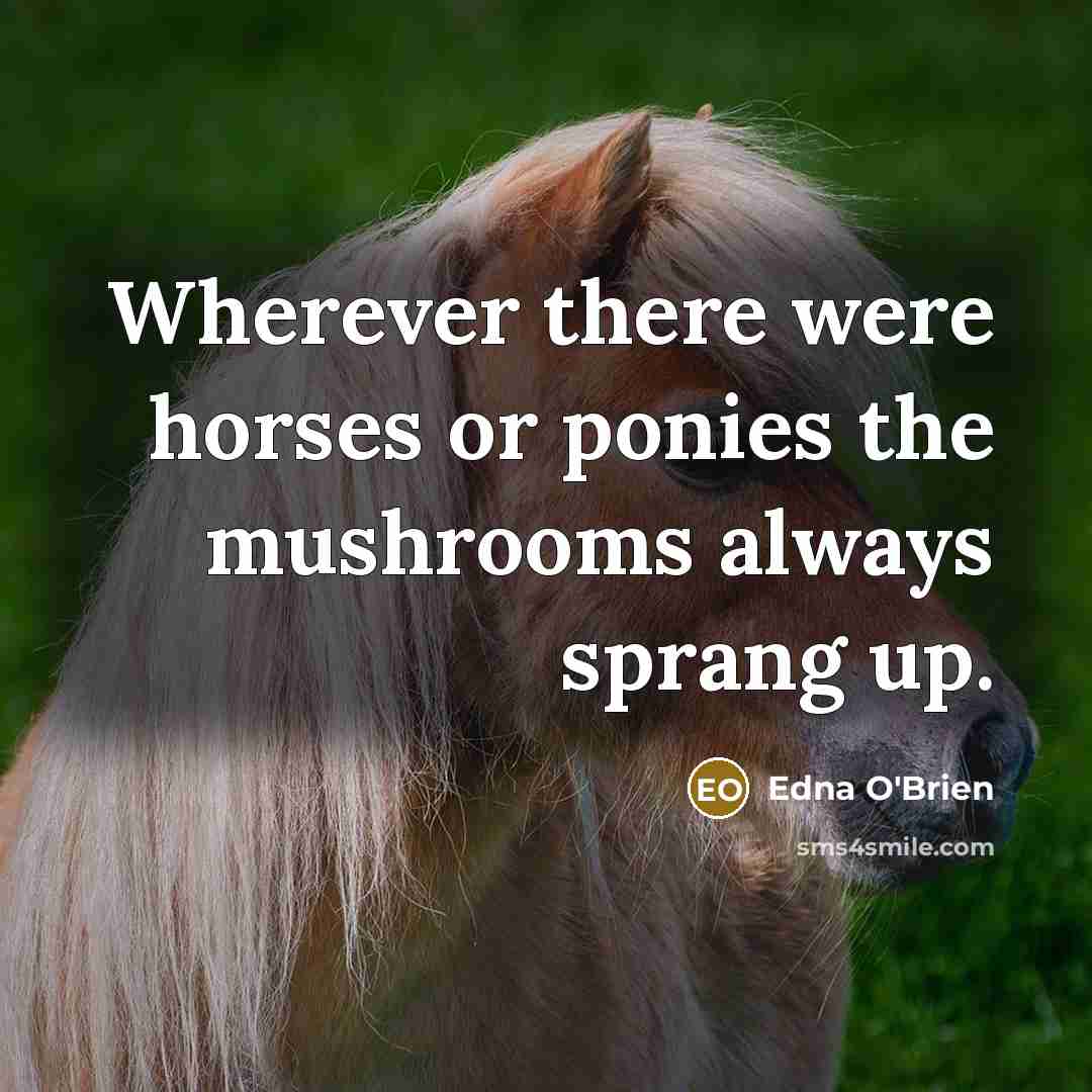 “Wherever there were horses or ponies the mushrooms always sprang…” quote by Edna O'Brien
