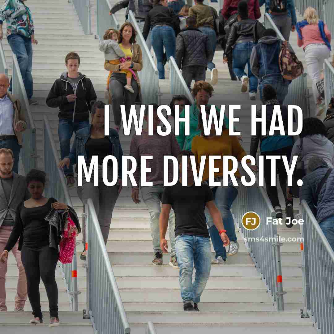 “I wish we had more diversity.…” quote by Fat Joe