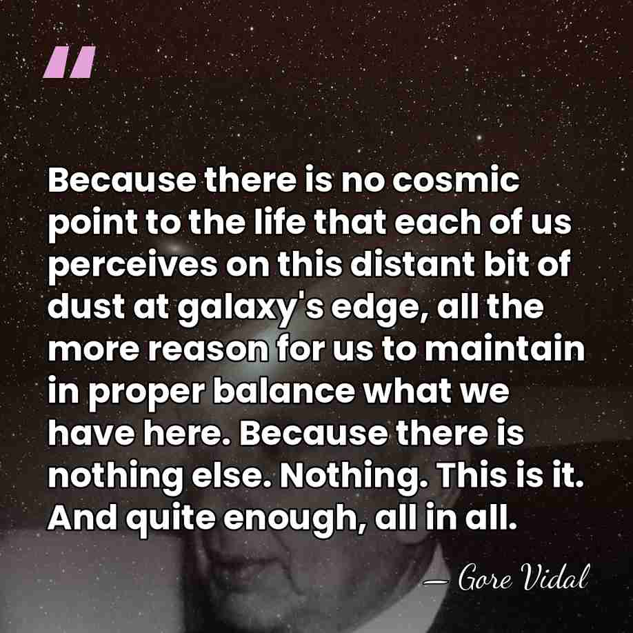 Because there is no cosmic point to the life that each of&hellip; - Gore Vidal