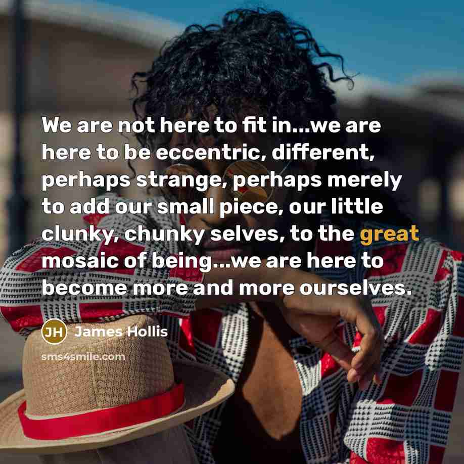 “We are not here to fit in...we are here to…” quote by James Hollis