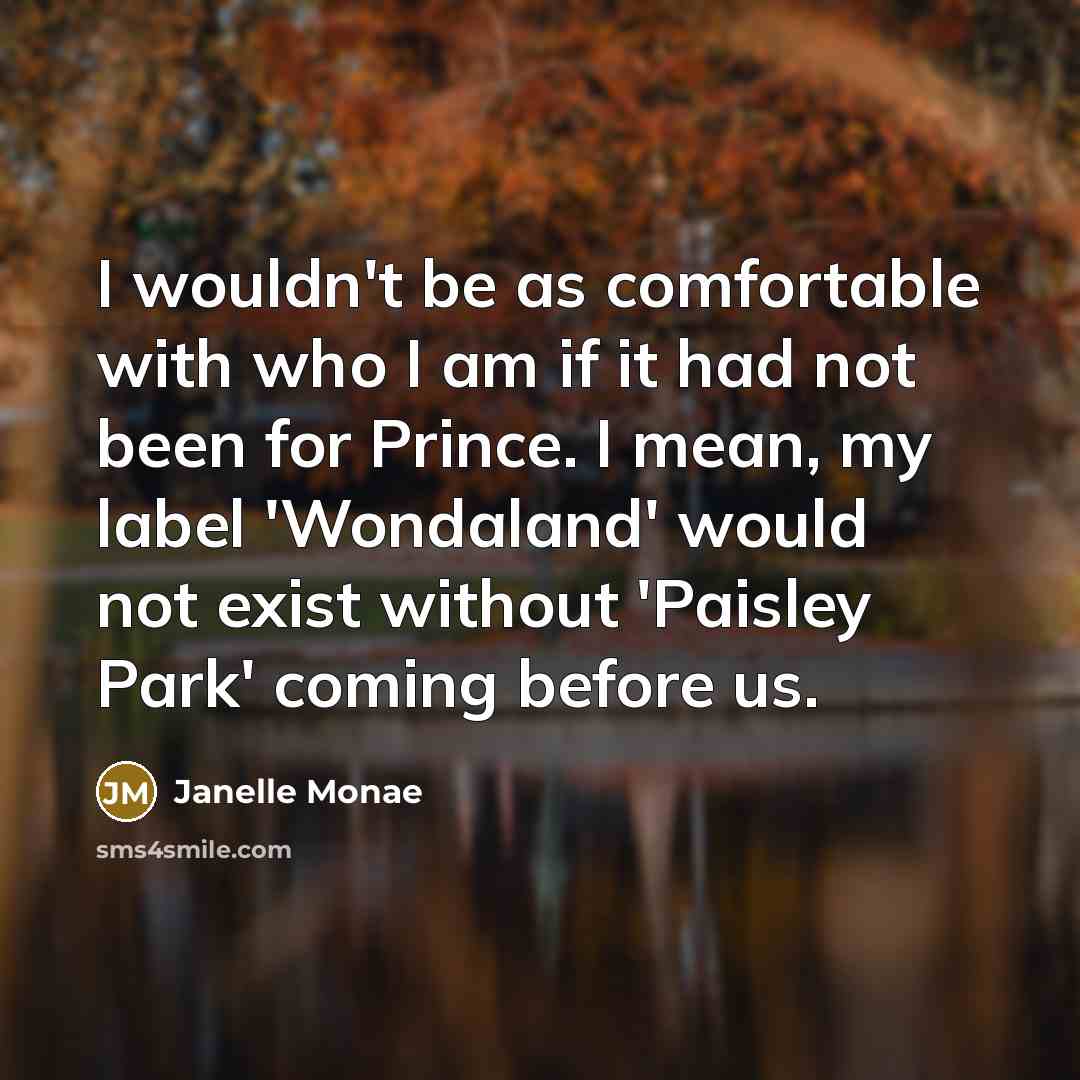 “I wouldn't be as comfortable with who I am if…” quote by Janelle Monae