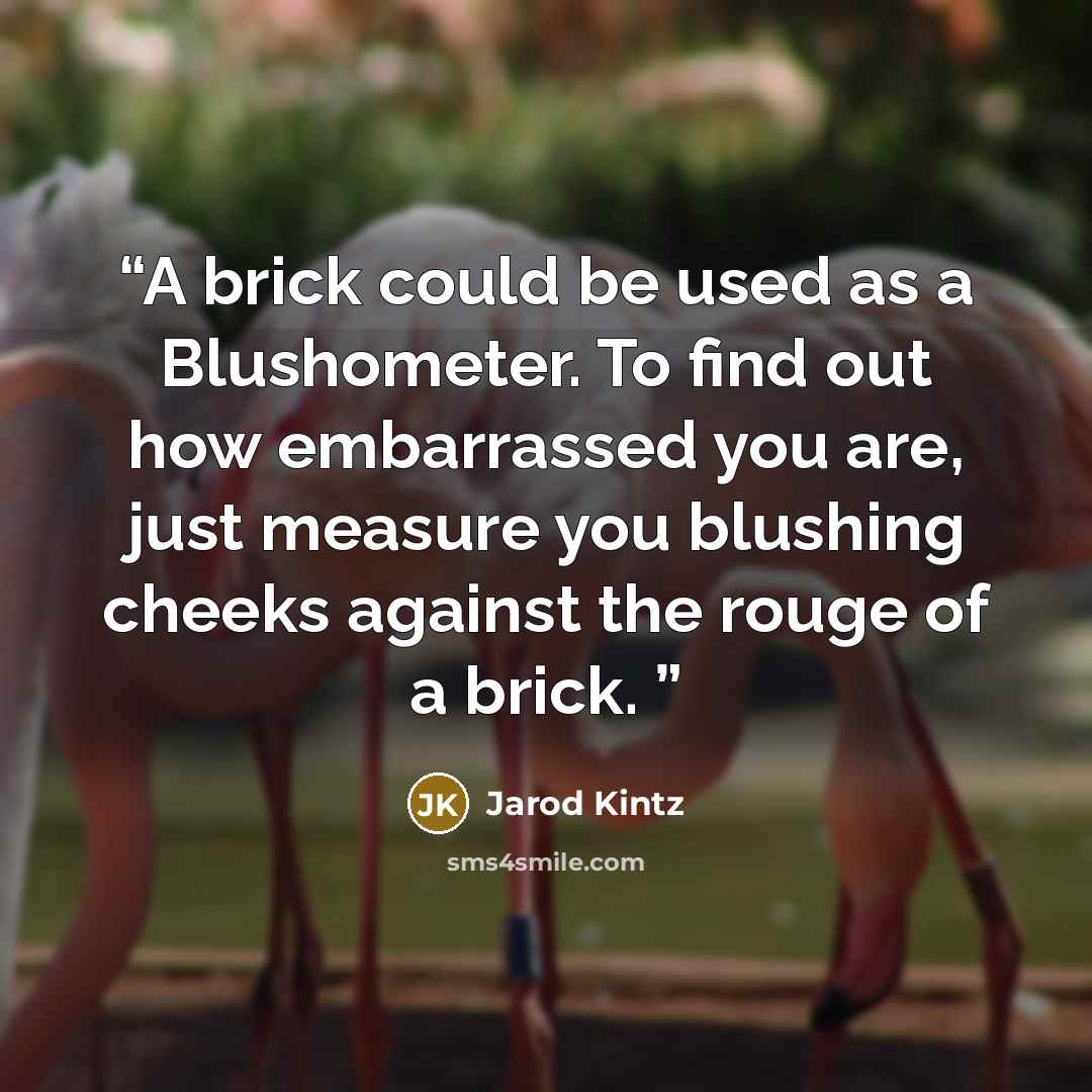 “A brick could be used as a Blushometer. To find out how embarrassed you are, just measure you blushing cheeks against the rouge of a brick.” quote by Jarod Kintz