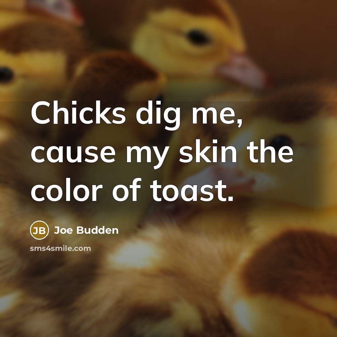 “Chicks dig me, cause my skin the color of toast.” quote by Joe Budden