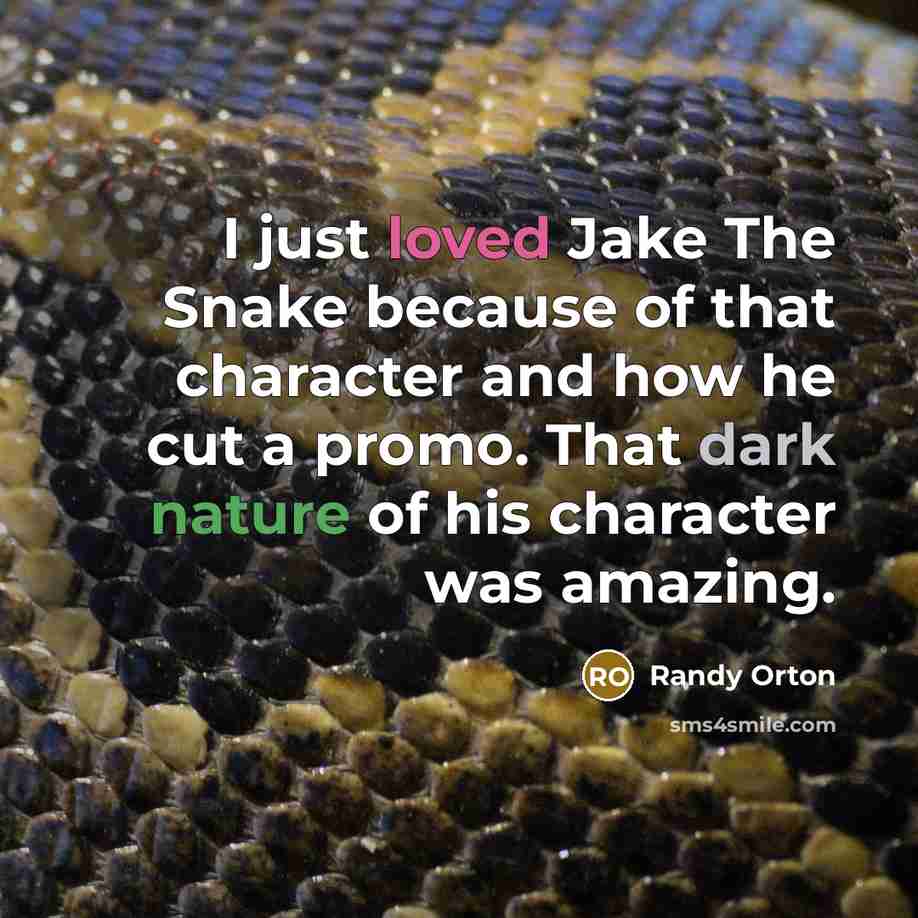 “I just loved Jake The Snake because of that character…” quote by Randy Orton
