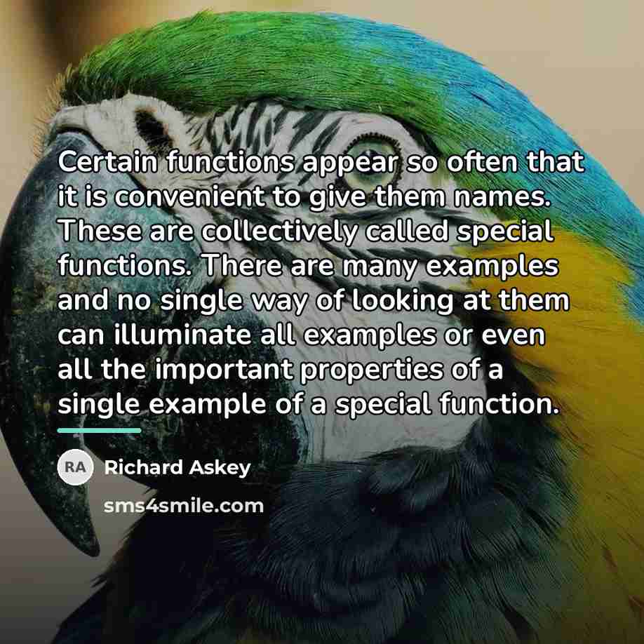 “Certain functions appear so often that it is convenient to…” quote by Richard Askey