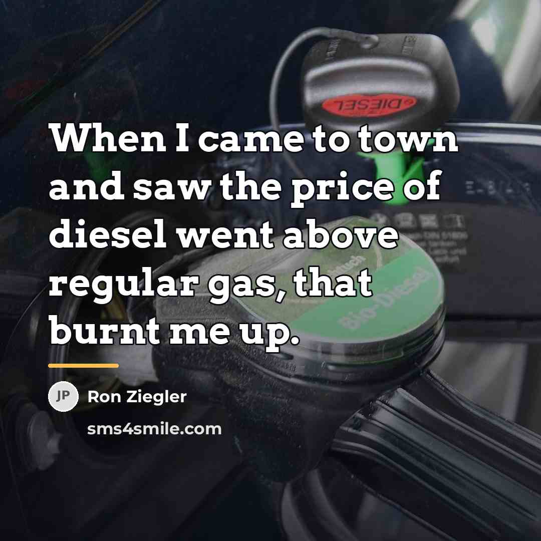 “When I came to town and saw the price of…” quote by Ron Ziegler