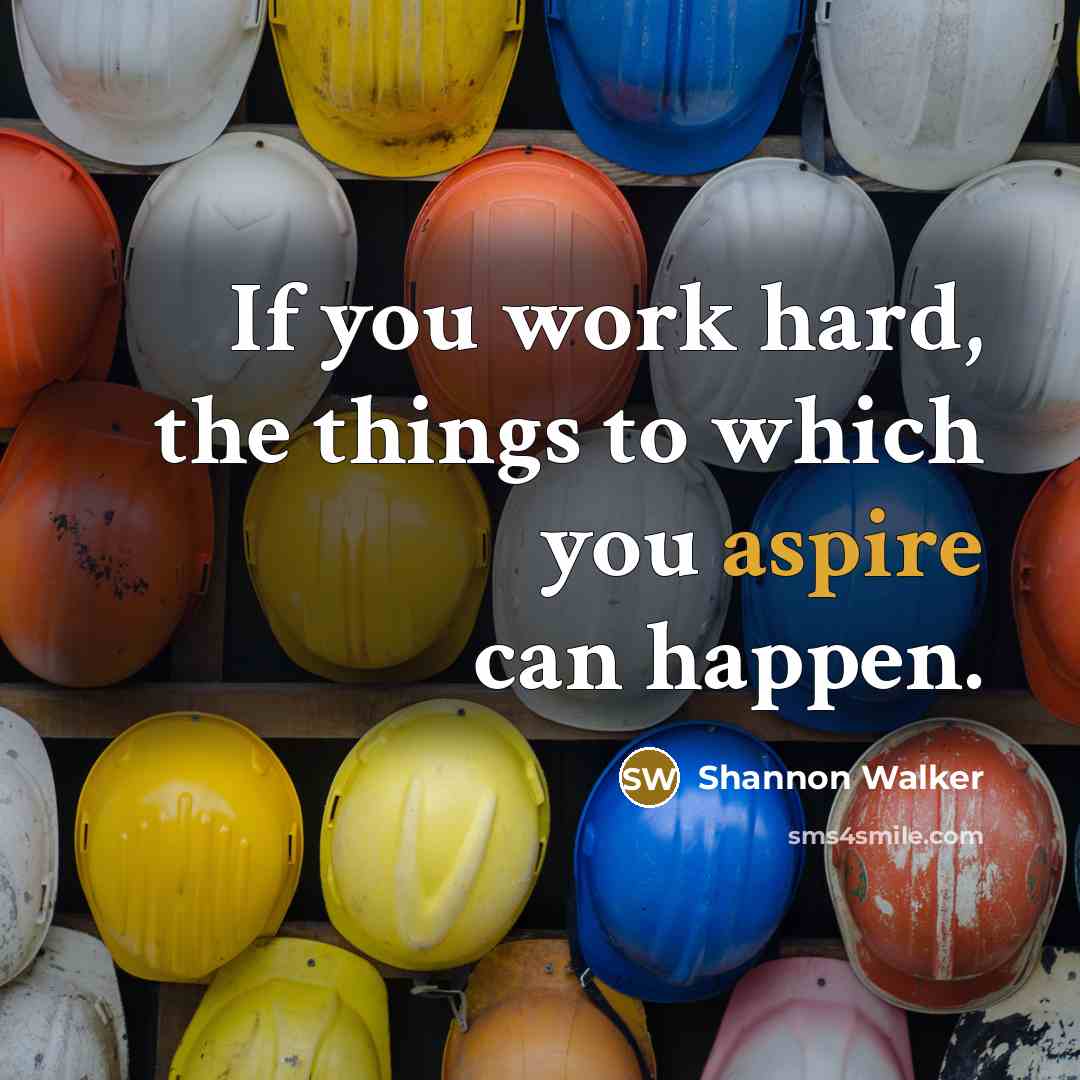 “If you work hard, the things to which you aspire…” quote by Shannon Walker