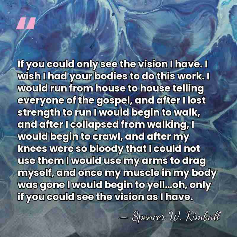 If you could only see the vision I have. I wish I&hellip; - Spencer W. Kimball