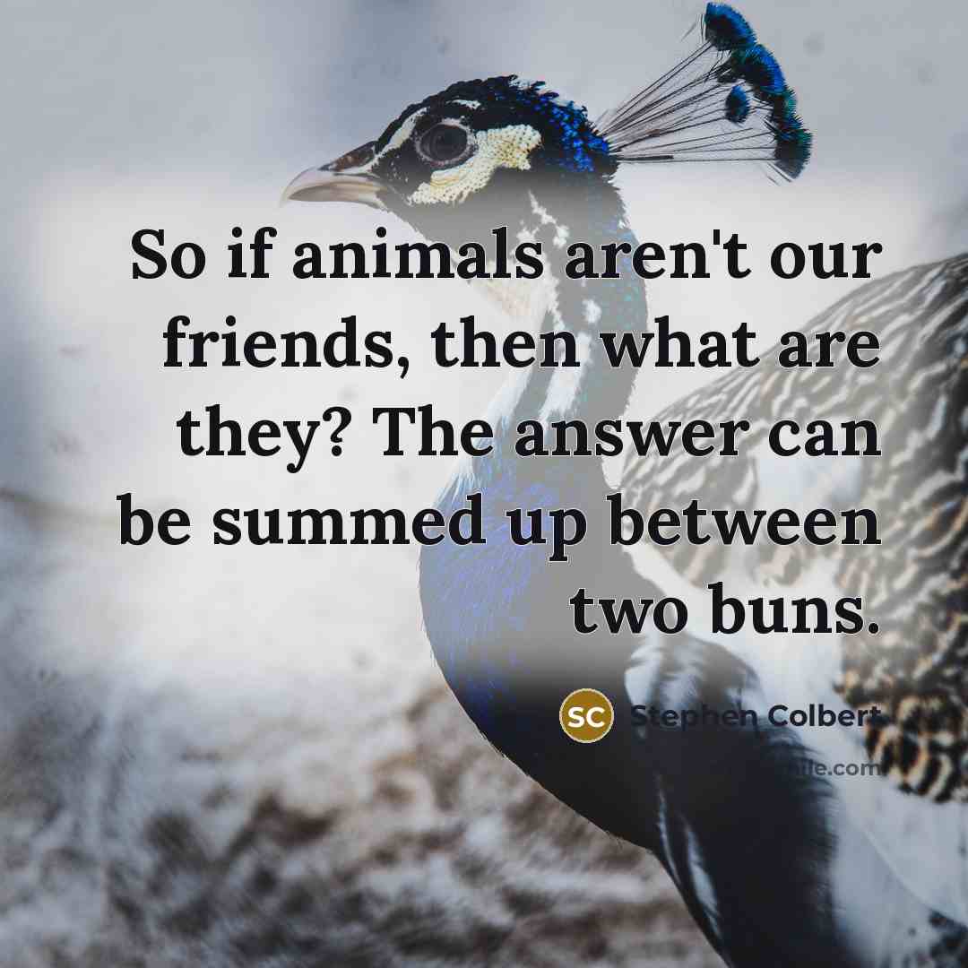 “So if animals aren't our friends, then what are they?…” quote by Stephen Colbert