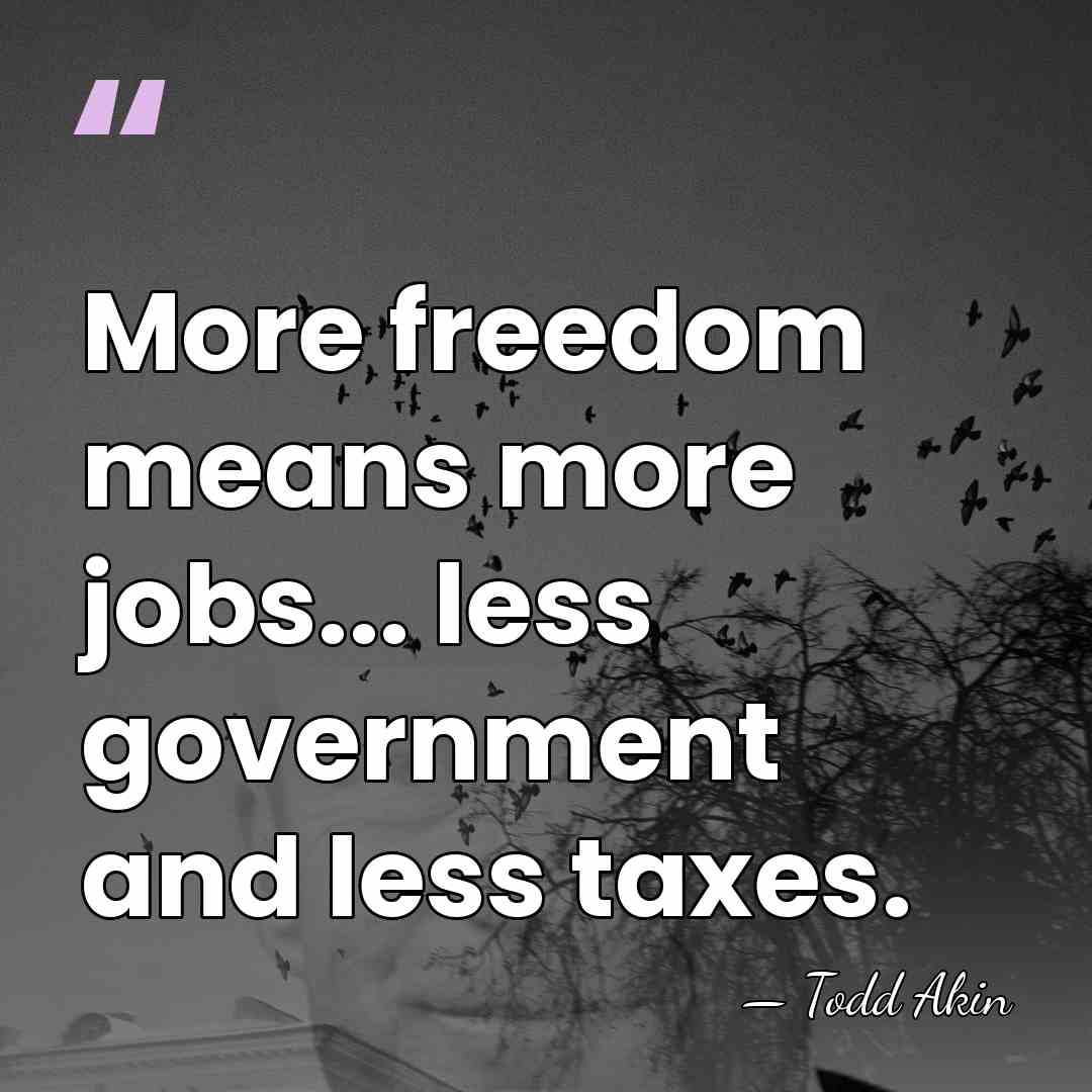 More freedom means more jobs... less government and less taxes. - Todd Akin