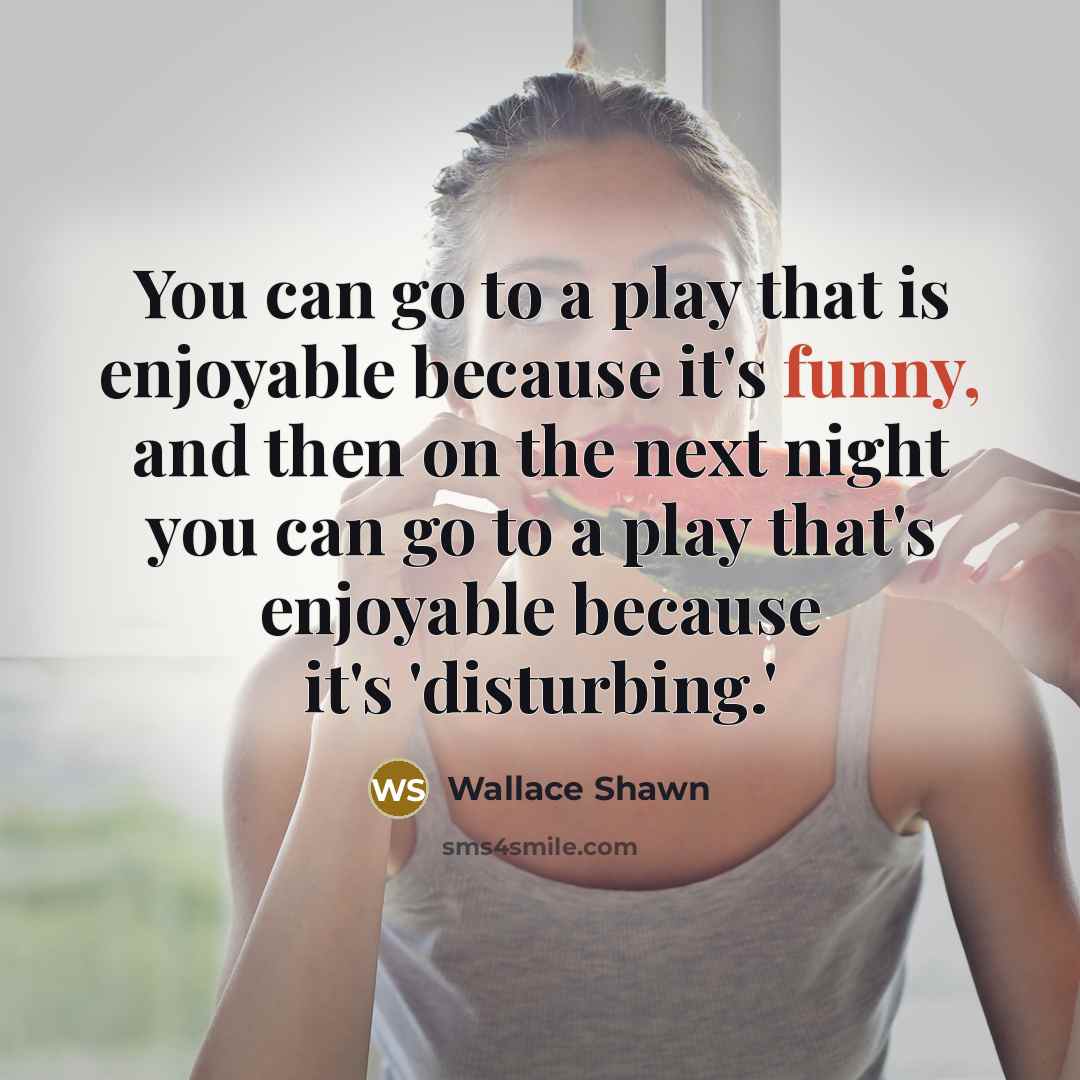 “You can go to a play that is enjoyable because…” quote by Wallace Shawn
