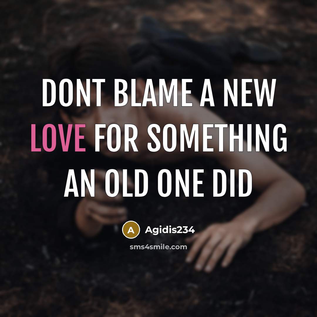 “Dont blame a new love for something an old one did” quote by Agidis234