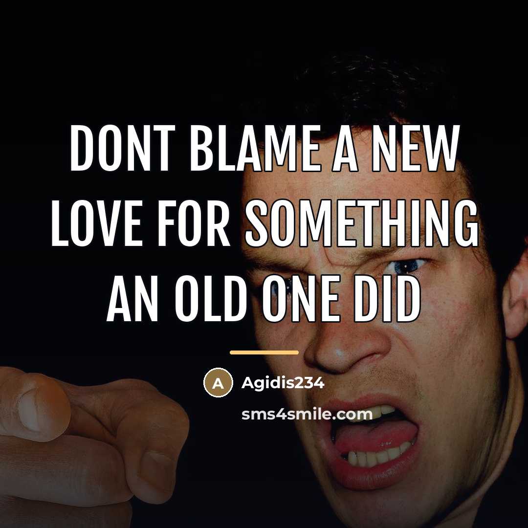 “Dont blame a new love for something an old one…” quote by Agidis234
