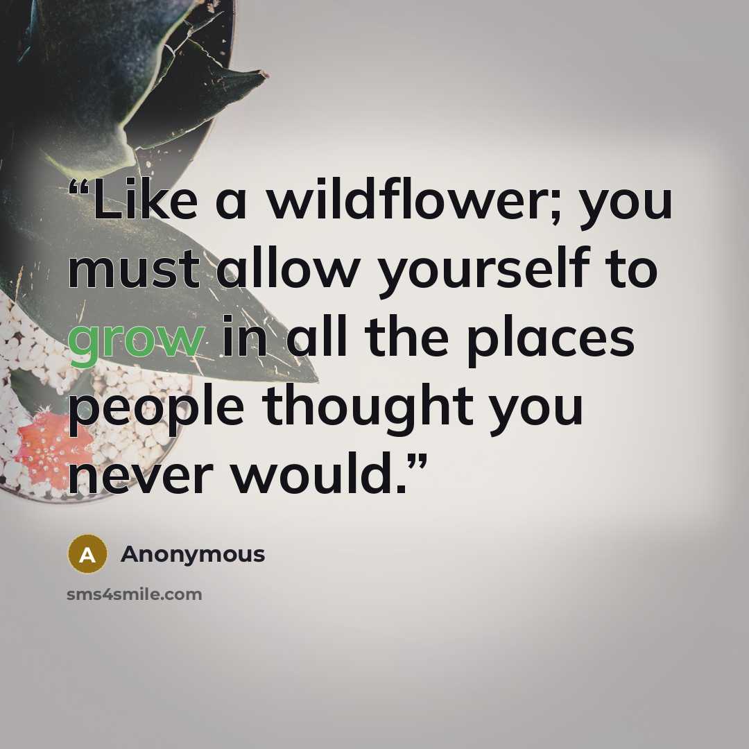 “Like a wildflower; you must allow yourself to grow in all the places people thought you never would.” quote by Anonymous