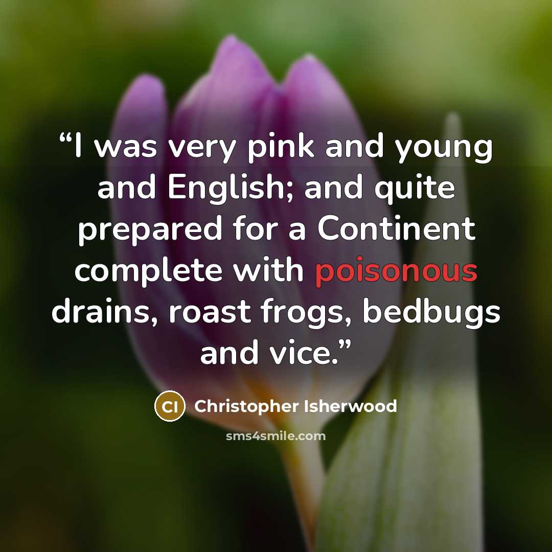 “I was very pink and young and English; and quite prepared for a Continent complete with poisonous drains, roast frogs, bedbugs and vice.” quote by Christopher Isherwood
