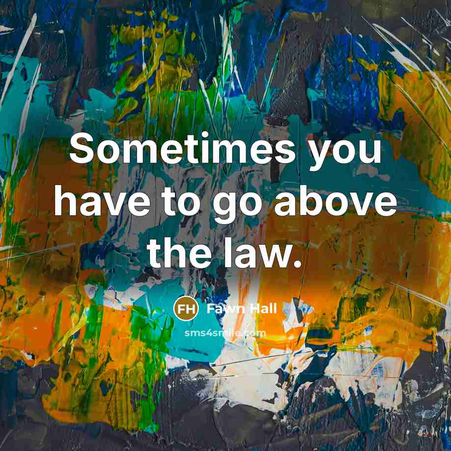 “Sometimes you have to go above the law.…” quote by Fawn Hall