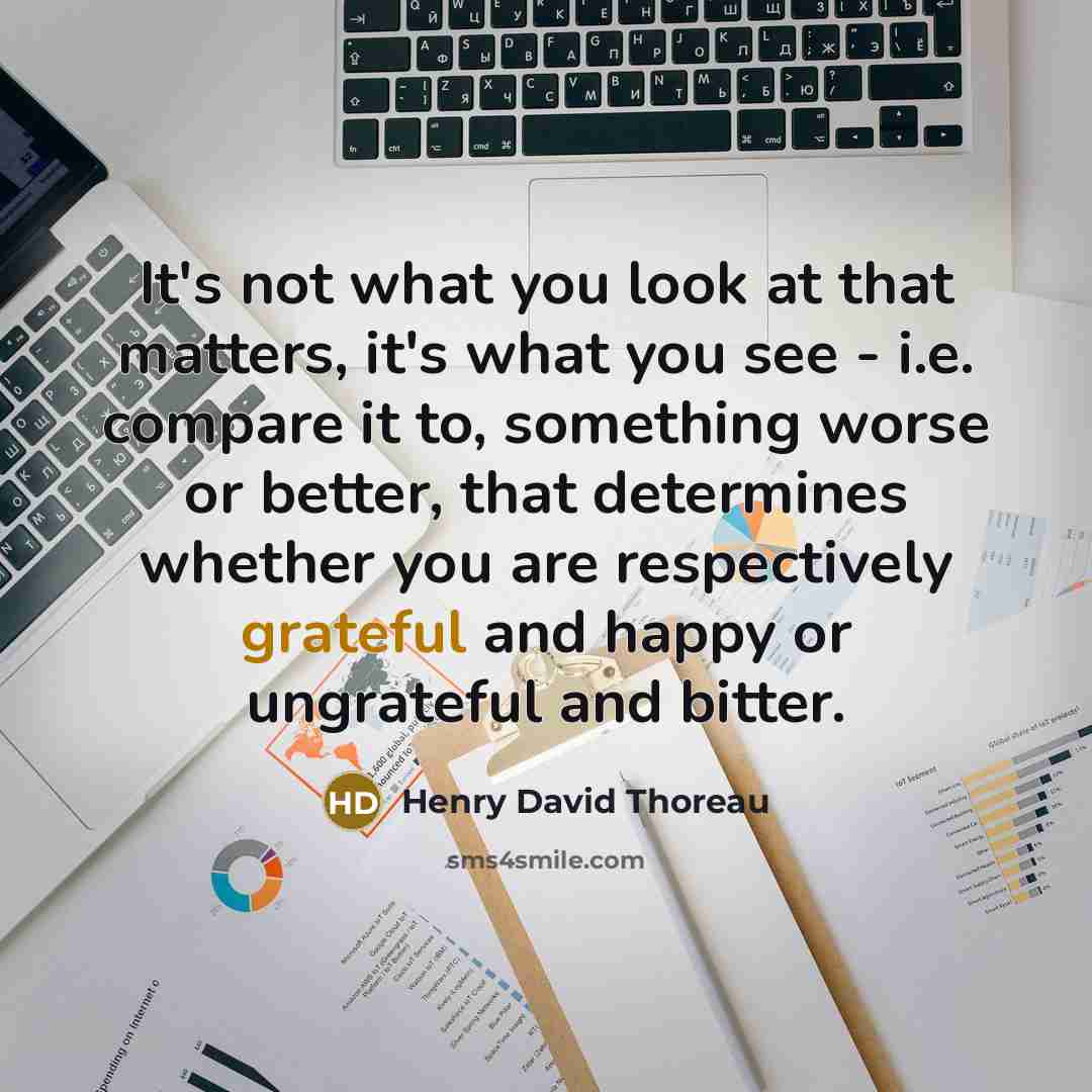 “It's not what you look at that matters, it's what…” quote by Henry David Thoreau