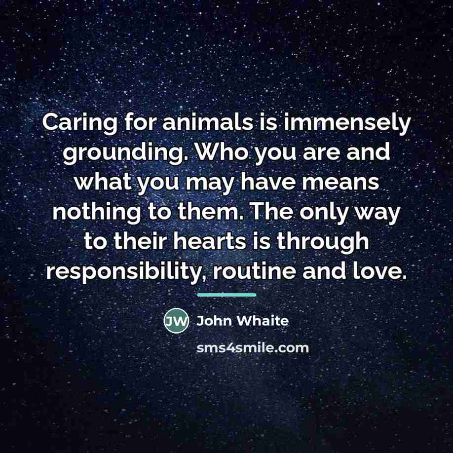 “Caring for animals is immensely grounding. Who you are and…” quote by John Whaite