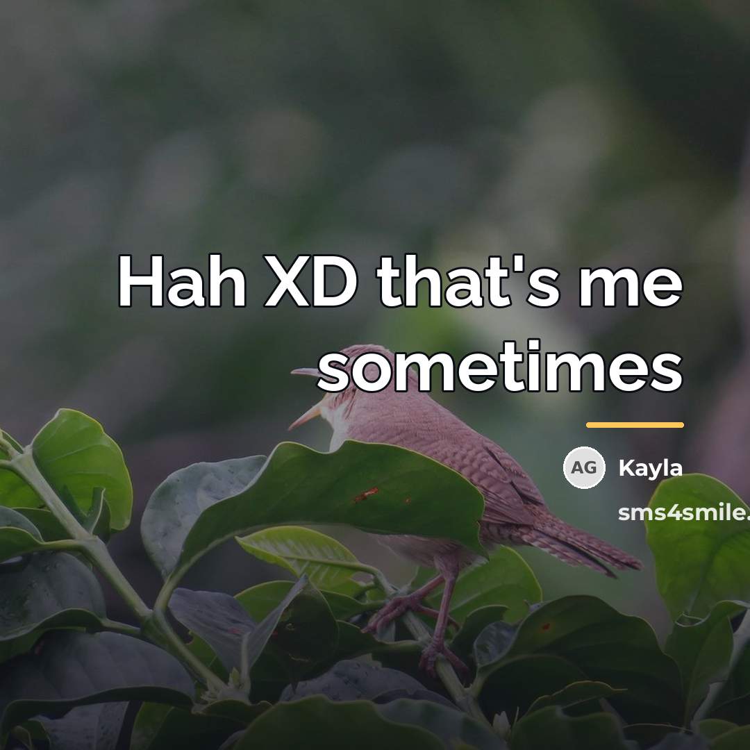 “Hah XD that's me sometimes…” quote by Kayla