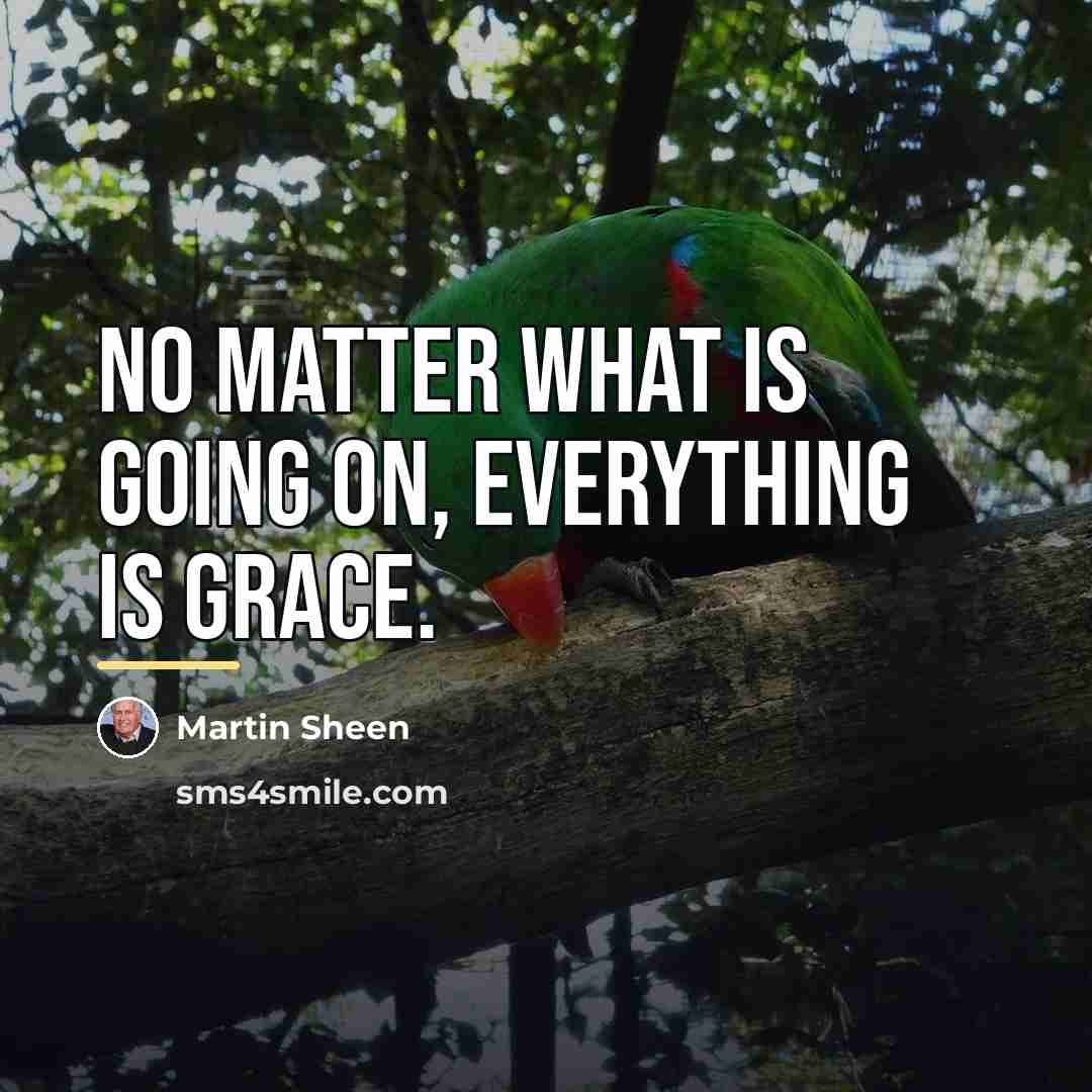 “No matter what is going on, everything is grace.…” quote by Martin Sheen