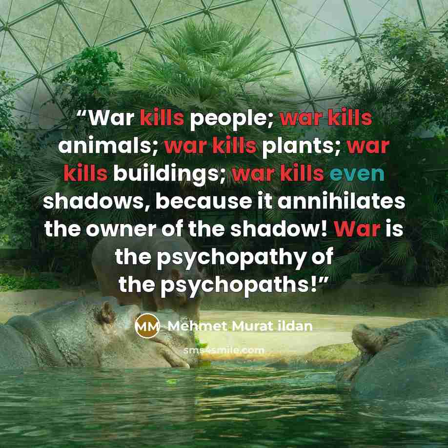 “War kills people; war kills animals; war kills plants; war kills buildings; war kills even shadows, because it annihilates the owner of the shadow! War is the psychopathy of the psychopaths!” quote by Mehmet Murat ildan