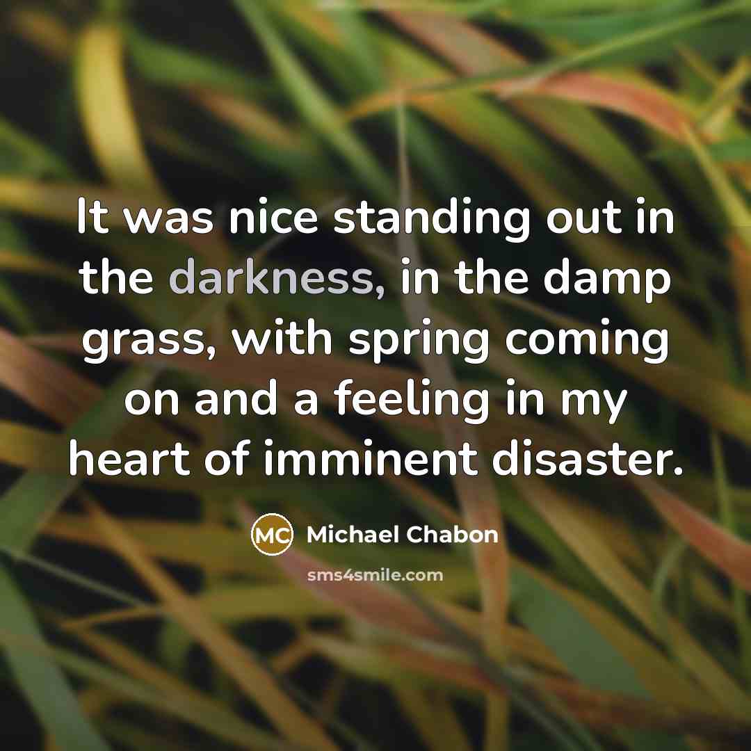 “It was nice standing out in the darkness, in the…” quote by Michael Chabon