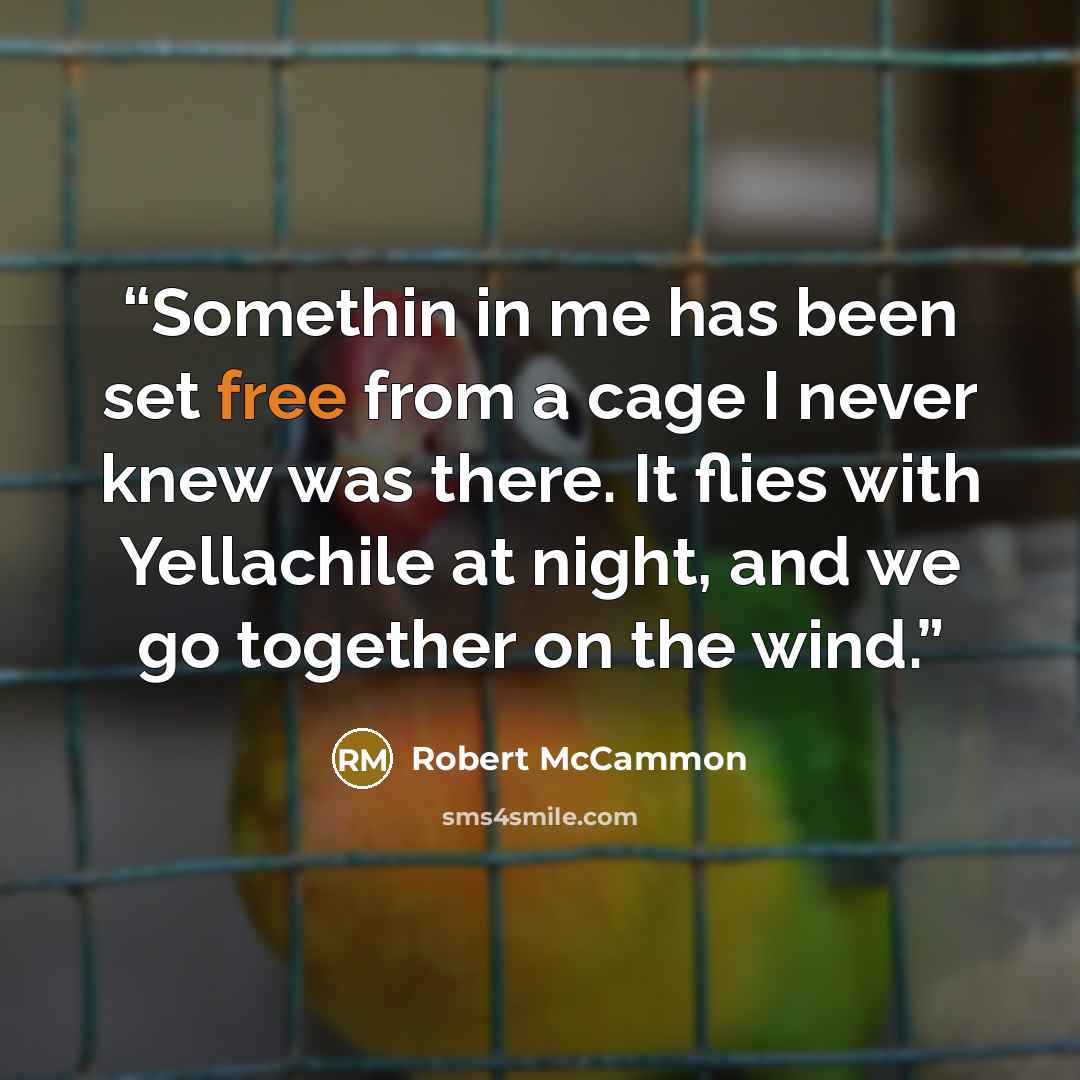 “Somethin in me has been set free from a cage I never knew was there. It flies with Yellachile at night, and we go together on the wind.” quote by Robert McCammon