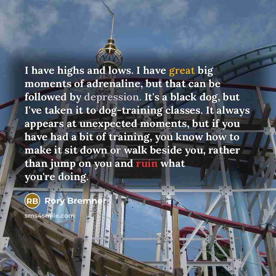 “I have highs and lows. I have great big moments…” quote by Rory Bremner