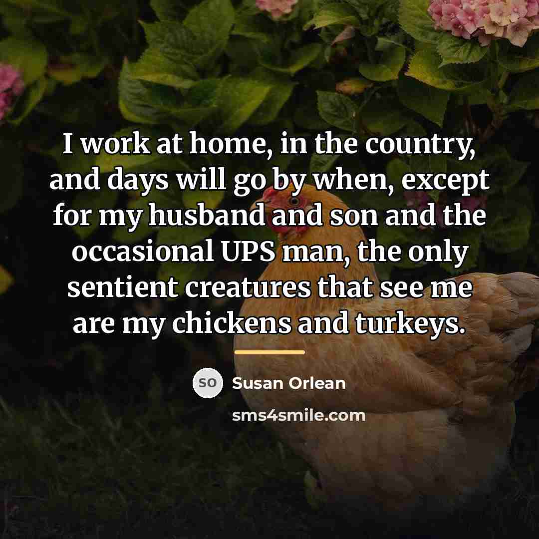 “I work at home, in the country, and days will…” quote by Susan Orlean