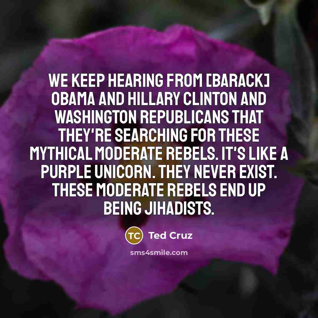 “We keep hearing from [Barack] Obama and Hillary Clinton and…” quote by Ted Cruz