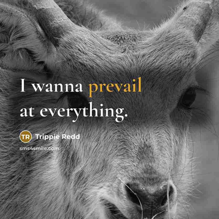 “I wanna prevail at everything.…” quote by Trippie Redd