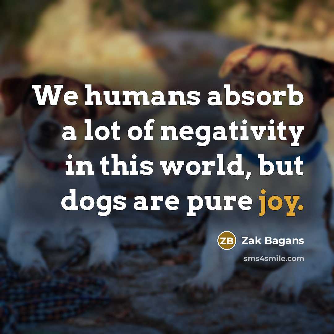 “We humans absorb a lot of negativity in this world,…” quote by Zak Bagans
