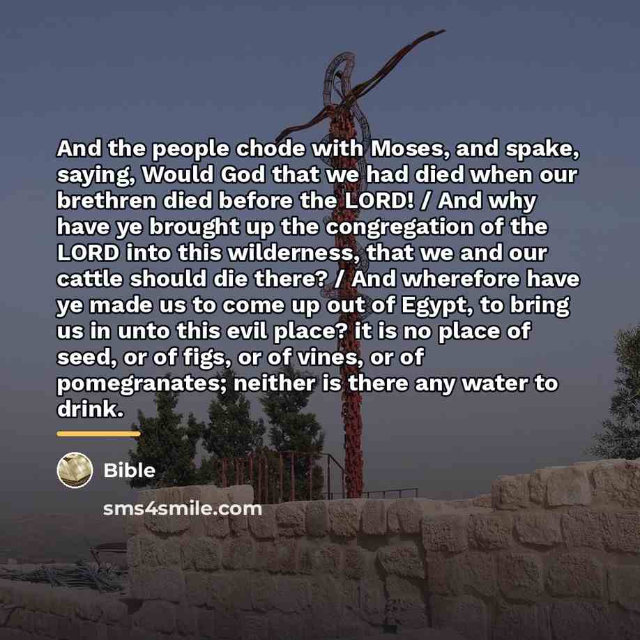 “And the people chode with Moses, and spake, saying, Would…” quote by Bible