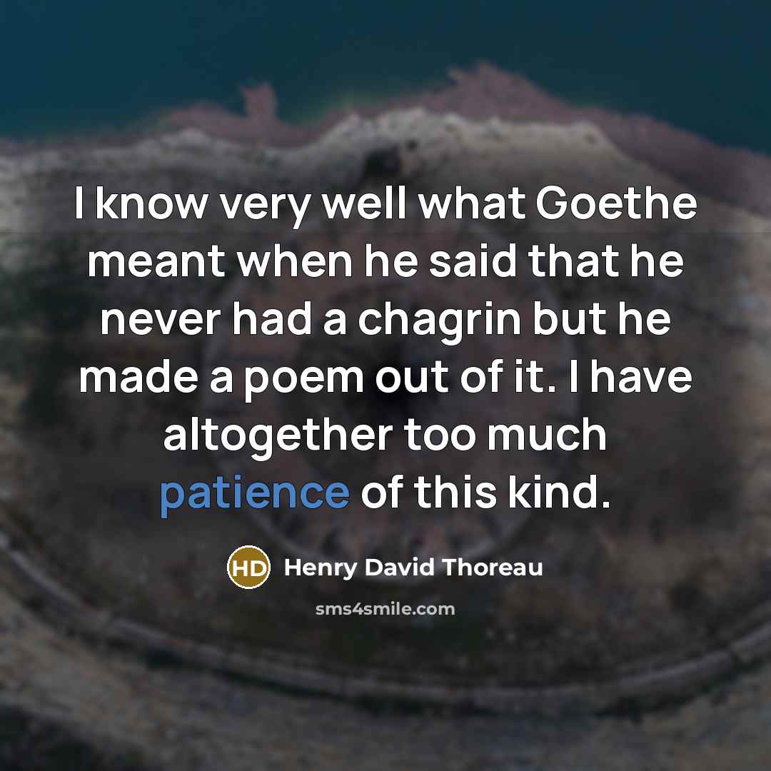 “I know very well what Goethe meant when he said…” quote by Henry David Thoreau