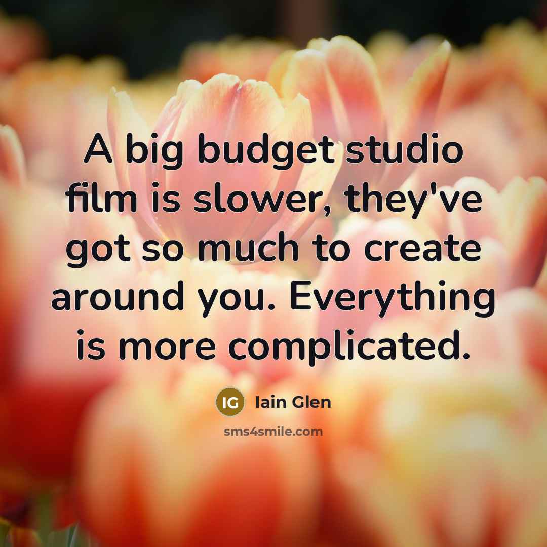 “A big budget studio film is slower, they've got so…” quote by Iain Glen