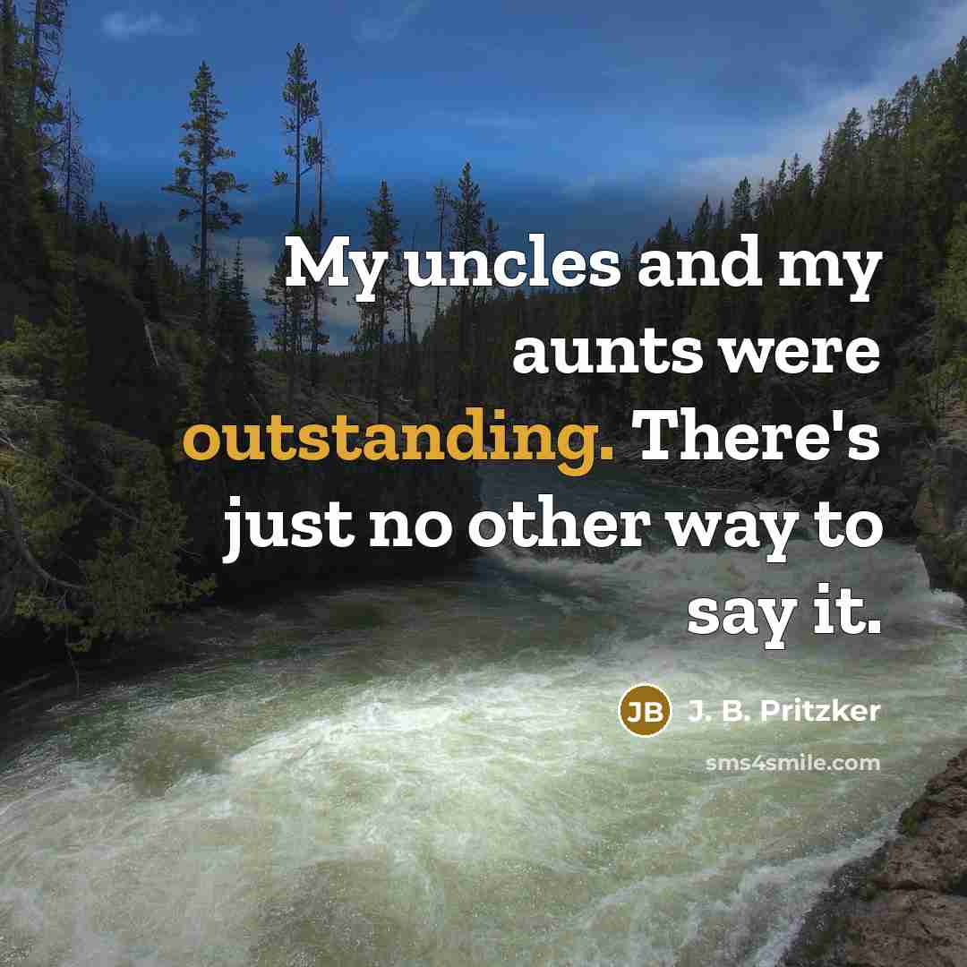 “My uncles and my aunts were outstanding. There's just no…” quote by J. B. Pritzker