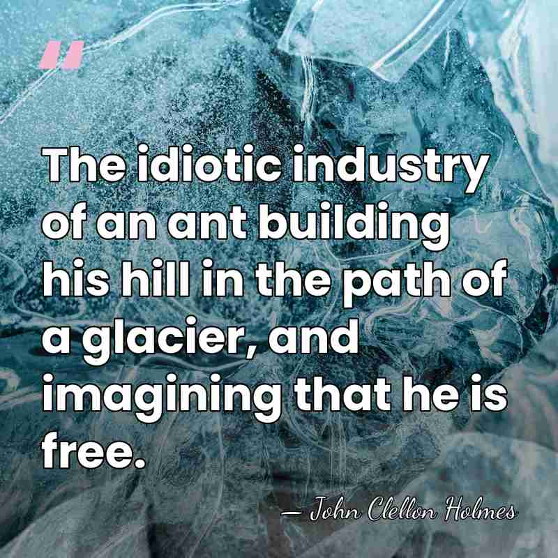 The idiotic industry of an ant building his hill in the path&hellip; - John Clellon Holmes