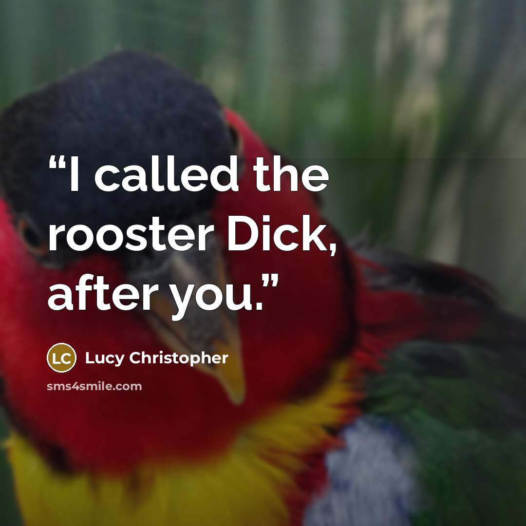 “I called the rooster Dick, after you.” quote by Lucy Christopher
