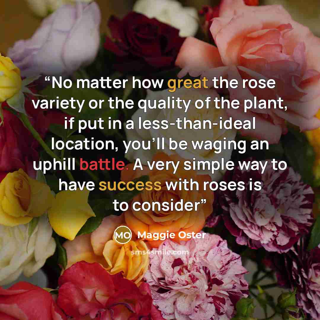“No matter how great the rose variety or the quality of the plant, if put in a less-than-ideal location, you’ll be waging an uphill battle. A very simple way to have success with roses is to consider” quote by Maggie Oster