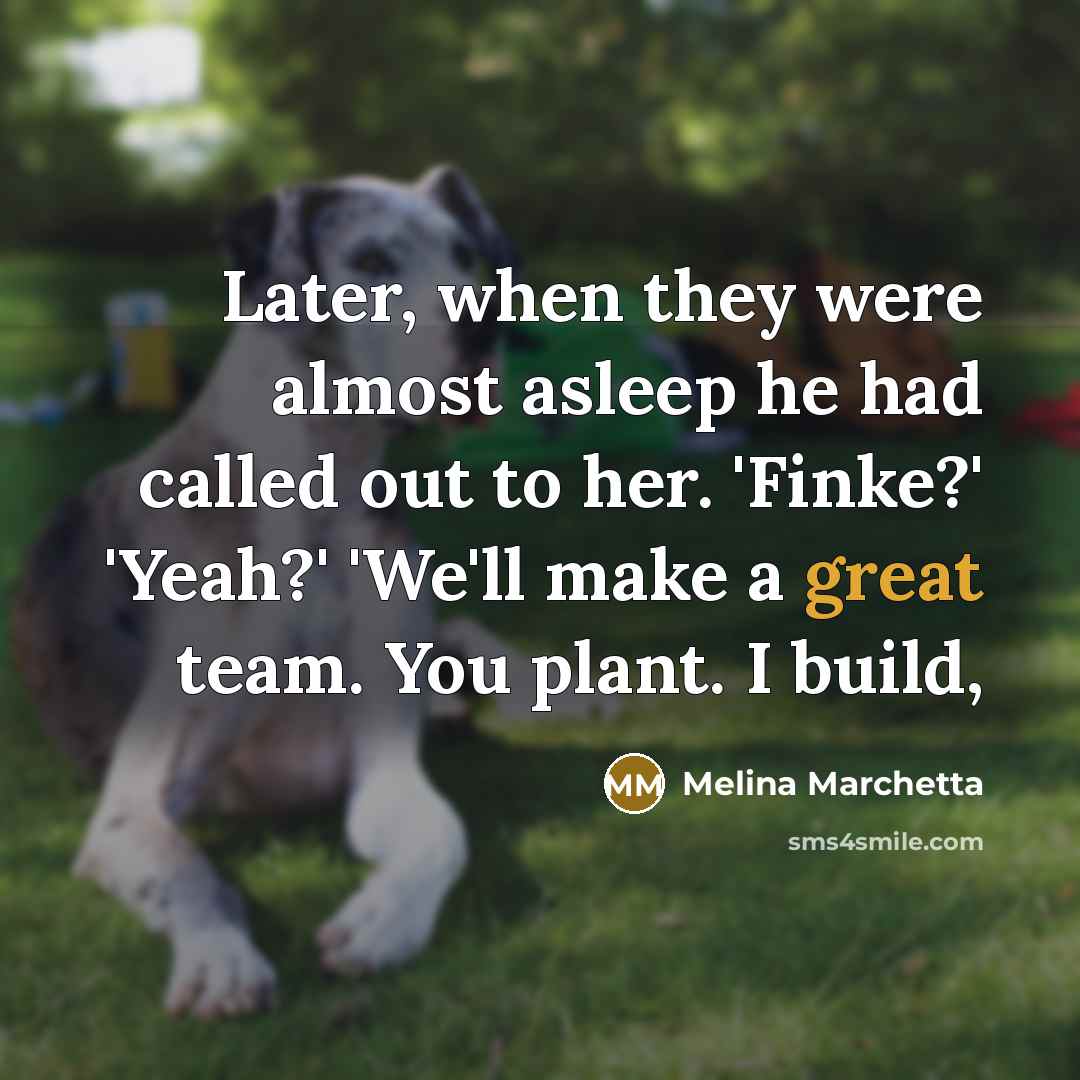 “Later, when they were almost asleep he had called out…” quote by Melina Marchetta